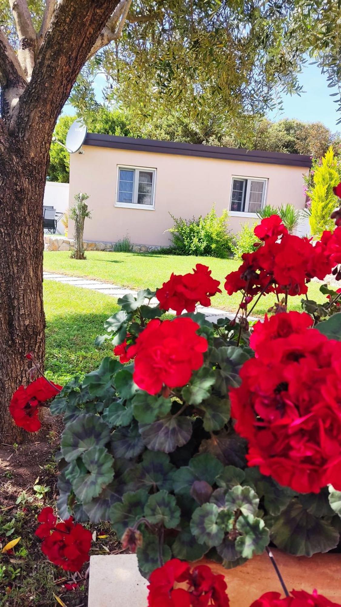 Villa Hacienda Kozino ภายนอก รูปภาพ
